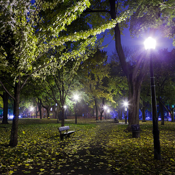 Park De Lorimier, at night, during Fall stock photo