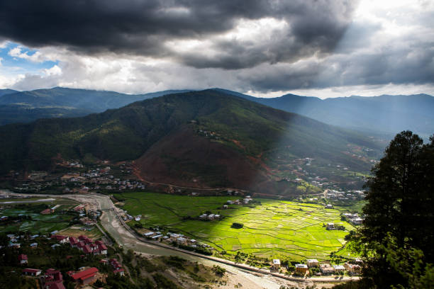 felder von paro, bhutan - 5905 stock-fotos und bilder