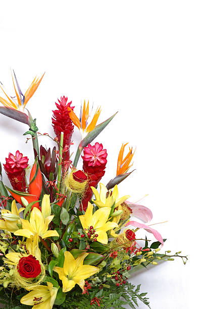 istock Colorful flowers and room for a text. 176907624