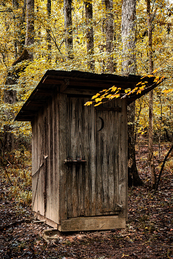 Primitive or vintage bathroom outhouse with crescent moon shape on door, made of wood with tin roof located in the middle of rural forest.