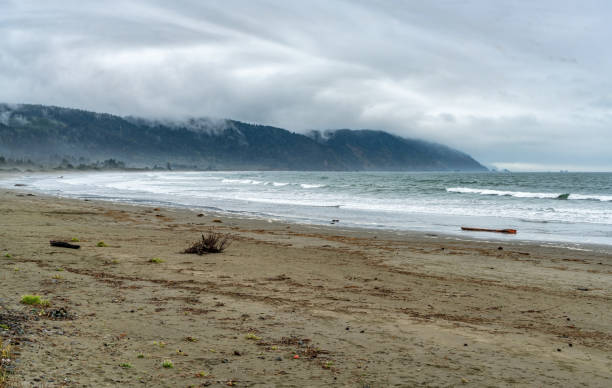 istock Oregon Foggy Point 1769093100