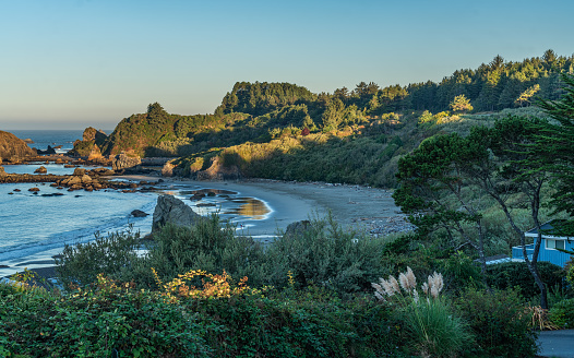 A view of Harris State Park in Brookings, Oregon.