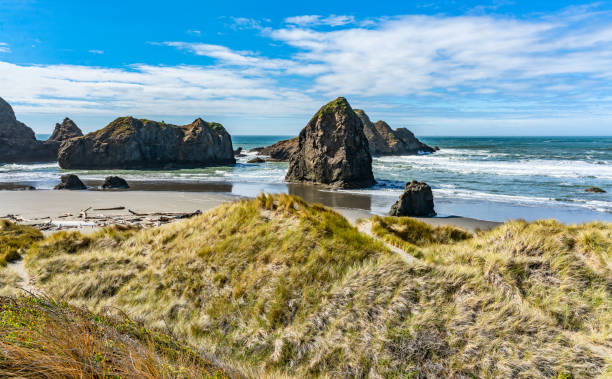 istock Oregon Meyers Creek Beach 3 1769095810