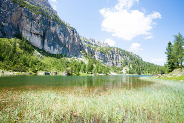 istock Federa alpine lake landscape, italian dolomites panorama 1769121178
