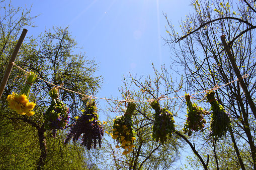 Bouquets of flowers and medicinal plants hanging to dry over blue sky
