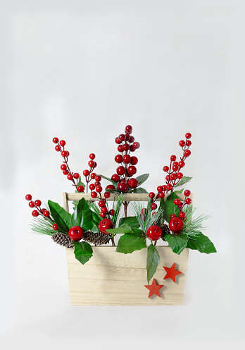 Christmas Still Life. Wooden basket with holly branches inside. White background. Two Red Stars. Vertical.