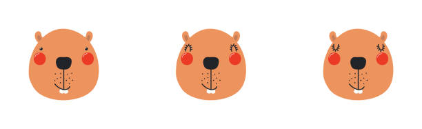 Cute funny beaver faces illustrations set. Cute funny beaver faces illustrations set. Hand drawn cartoon character. Scandinavian style flat design, isolated vector. Kids print element, poster, card, wildlife, nature, baby animals clip art of baby beaver stock illustrations