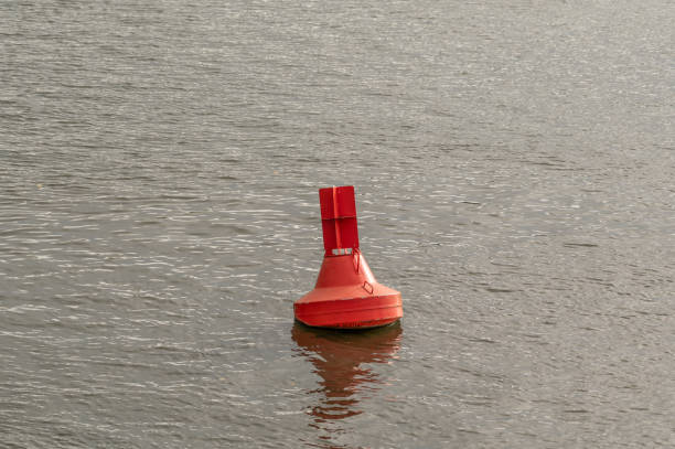 istock Buoy in the water 1769181430