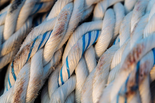istock texture of a modern polypropylene synthetic cable 1769181961