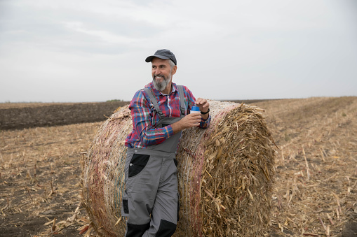 Elderly farmer with takeaway coffee in field of bales\ncorn