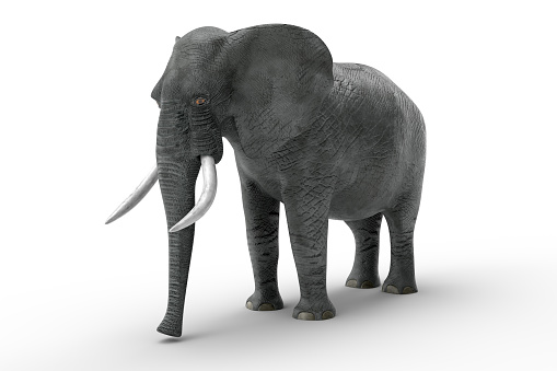 3D rendering of  elephants