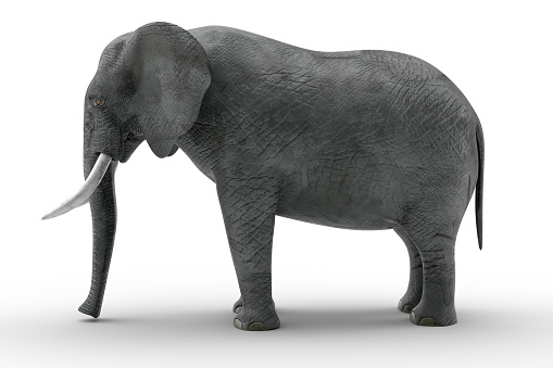Sad elephant soft toy