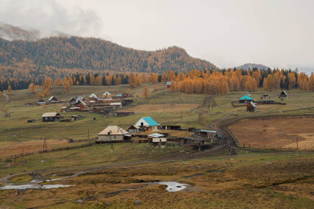 晩秋の山の下のシベリアの小さな人里離れた村。ロシアのアルタイ地方、ベリャシ村の雨の朝の黄金の秋の風景。 - valley tree remote landscape ストックフォトと画像