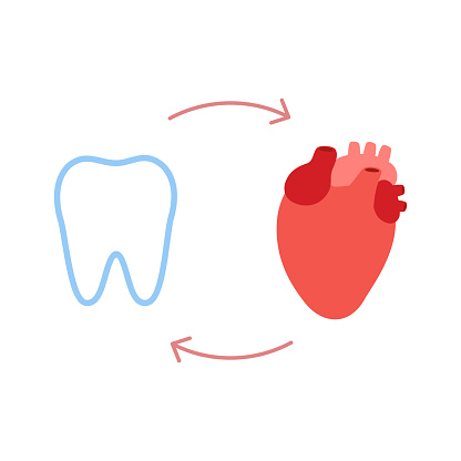 Connection of healthy teeth and heart. Relation health of human heart and tooth. Cardiovascular and chewing unity. Vector illustration