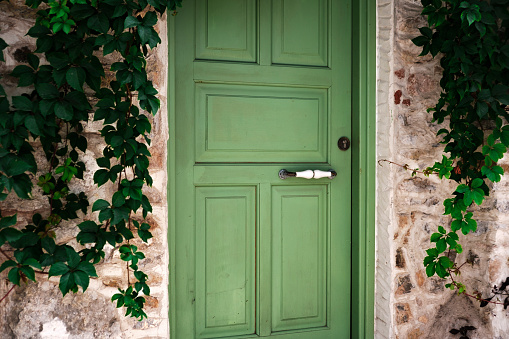 cozy street view of the olive green color wooden door in the stone wall covered with wild grape and ivy climber plants, fresh sun shelter mood in hot summer