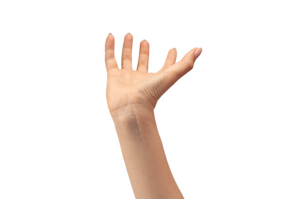 istock Woman hand isolated on white background. 1769233261