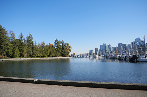 The skyline of Vancouver as seen from Stanley Park during a fall season in British Columbia, Canada.