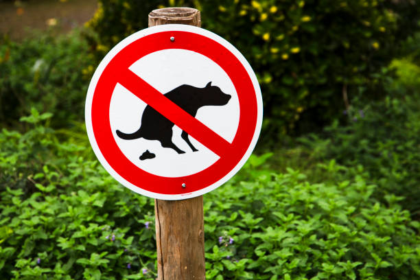istock No dog fouling 1769271682