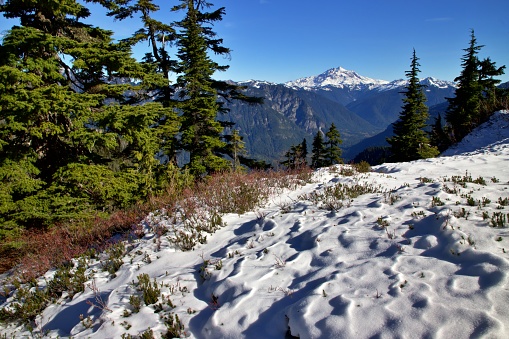 As seen from Forgotten Meadows, Glacier Peak in the North Cascades is one of five prominent stratovolcanos in Washington State and just one of many in the entire Cascade Range.