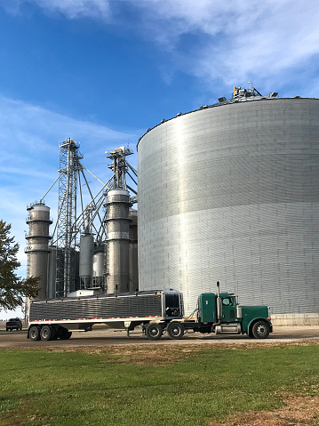 Semitruck loaded with grain leaving rural elevator. Elevator has facilities for recieveing grain from fields, drying it in towers at left and storing it in bins like the one on the right.