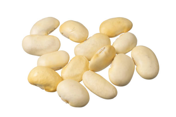 istock grains of white beans with visible details 1769289550