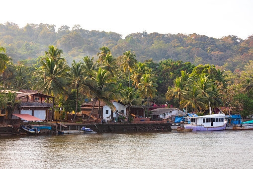 This image captures the scenic Chapora River in Goa, a waterway that winds its way through various towns and villages, reflecting both the natural beauty and the vibrant local culture of the region. Boats of various sizes and purposes can be seen moored along the riverbanks or gliding across the water, ranging from small fishing boats to larger vessels designed for river cruises. The photograph also highlights the towns that line the river, each offering its own unique blend of architecture, from traditional Goan houses to more modern structures. The image aims to give viewers a comprehensive view of life along the Chapora River, showcasing its role as both a natural resource and a hub of local activity.