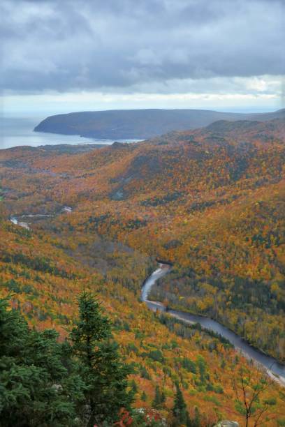 istock The Majestic Valley in Fall 1769304602