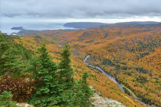 istock The Majestic Clyburn Valley in Autumn 1769304629