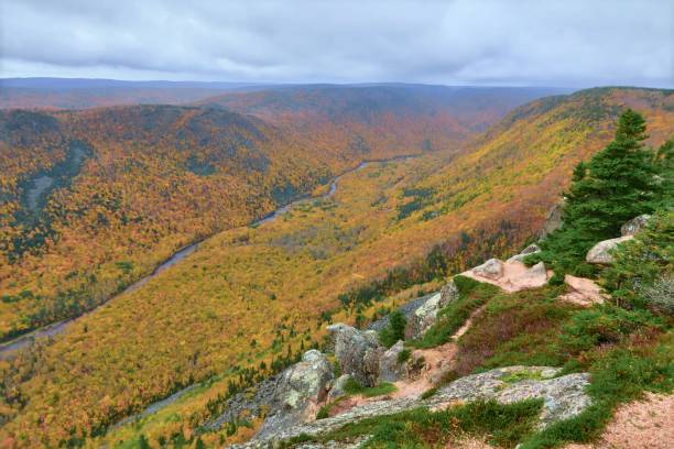 istock The Majestic Valley in Autumn 1769305171
