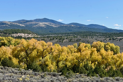 Sangre De Cristo Mountains NM with fall colors