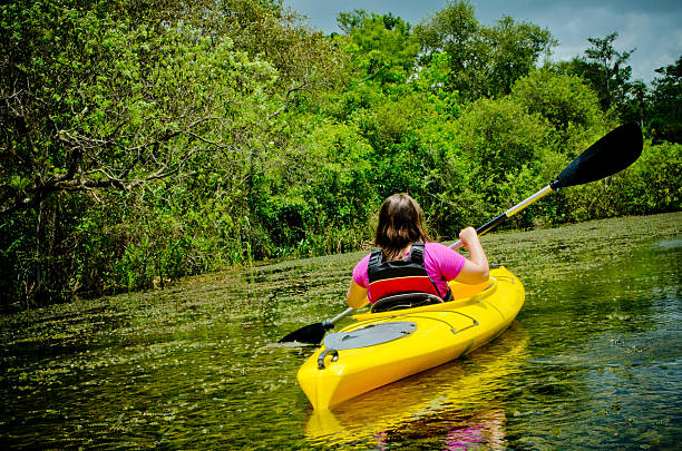 kajak w everglades - sea kayaking scenics ecosystem kayak zdjęcia i obrazy z banku zdjęć