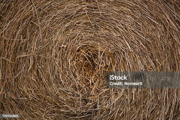 Gelbe Stroh Runde Bale Stockfoto und mehr Bilder von Ausgedörrt - Ausgedörrt, Bildhintergrund, Fotografie