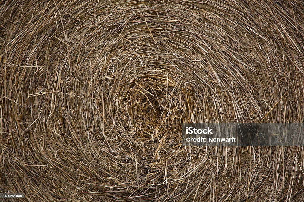 Amarelo palha rodada bale - Foto de stock de Agricultura royalty-free