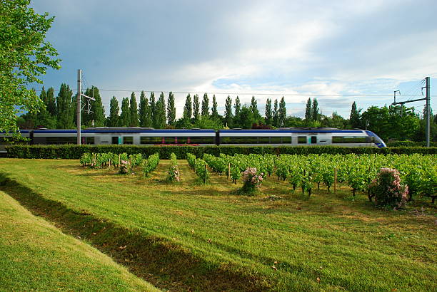 zug in bewegung pass grüne landschaft, frankreich - train public transportation passenger train locomotive stock-fotos und bilder