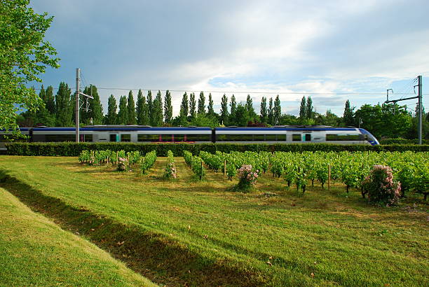 열차 in motion 산길 버처 풍경, 프랑스 - railroad track train landscape transportation 뉴스 사진 이미지