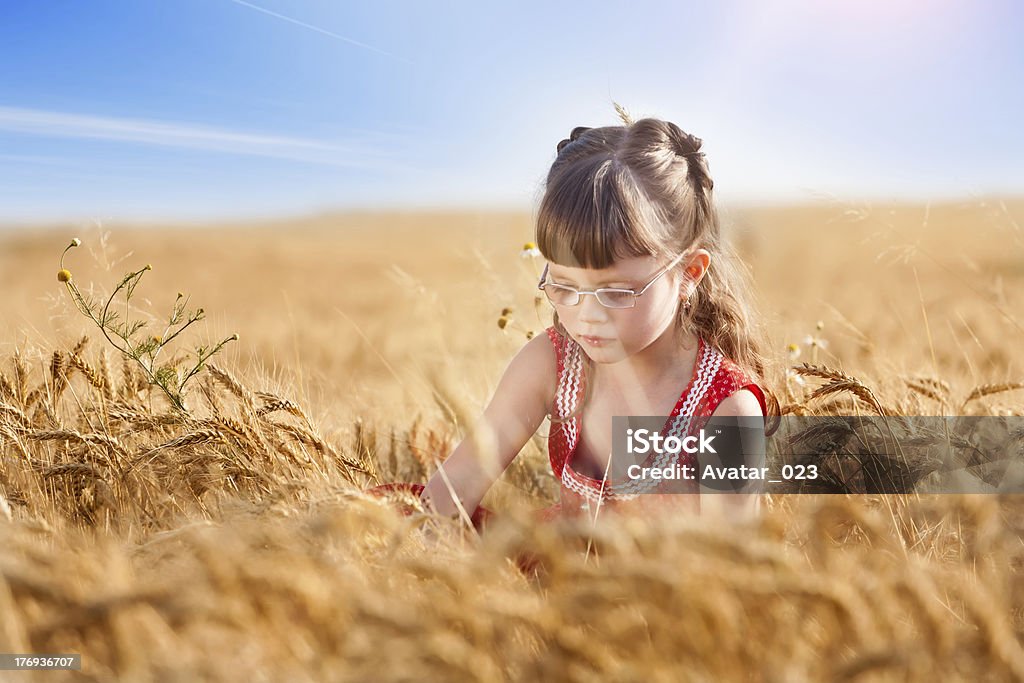 Мале�нькая девочка в поле пшеницы - Стоковые фото 4-5 лет роялти-фри