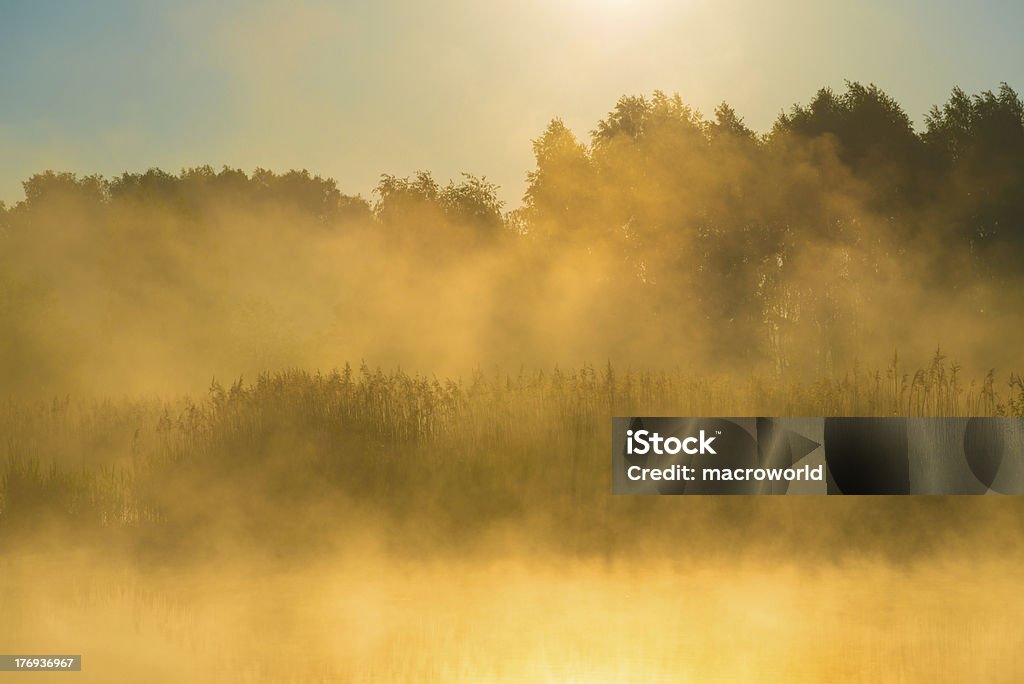 Lever du soleil et brouillard au-dessus de l'étang - 36 Mpx - Photo de Arbre libre de droits