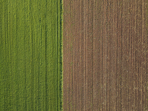 Grass field and plowed field with soil in the countryside in summer from above
