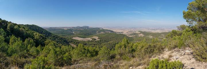 Panoramic view of the Bardena Negra or Bardena black desert landscape of Bardenas Reales with vegetation, Navarra, Spain