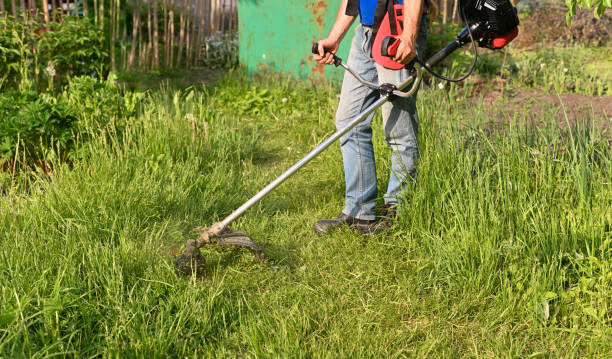 falcia l'erba con il tosaerba a mano in giardino - electric trimmer foto e immagini stock