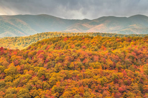 istock Autumn in the Great Smoky Mountains 1769424076