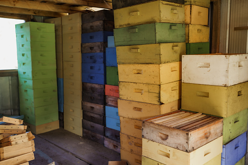 bee hives stacked in warehouse waiting for season to sow bees
