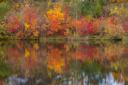 Autumn in Oka national park, Canada