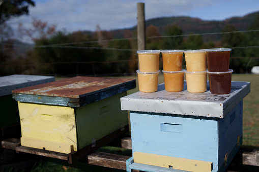 honey jars on outdoor bee hives