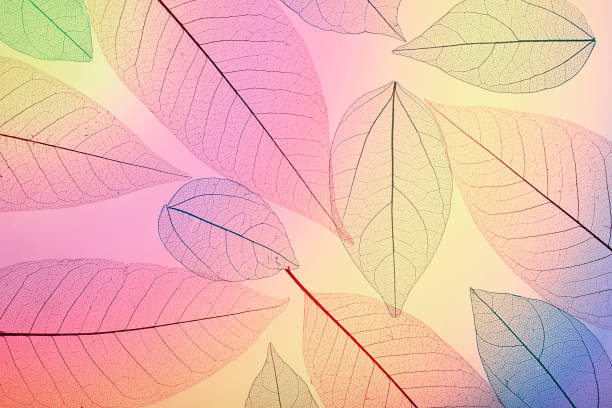 istock Macro leaves. Colorful leaves background. Leaf texture 1769479545