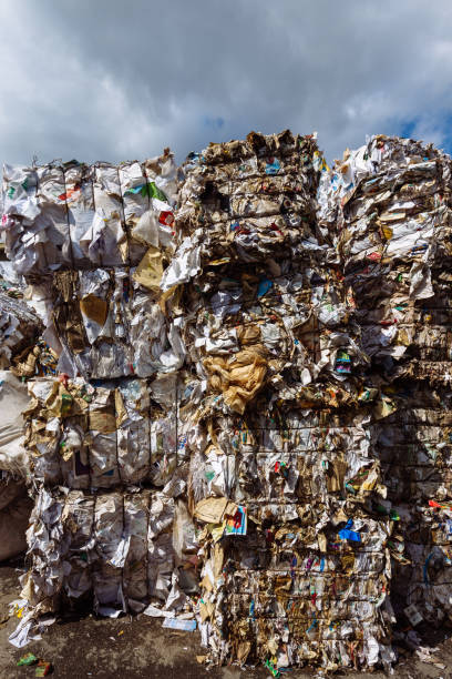 istock Stack of waste paper at the recycling factory 1769484027