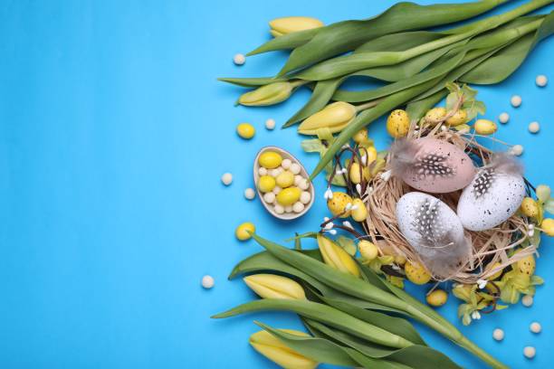 composição plana com belas flores e ovos em fundo azul claro, espaço para texto. celebração da páscoa - eggs animal egg celebration feather - fotografias e filmes do acervo