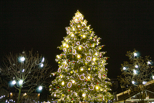 Image of the huge Christmas Tree in Klever Square in Strasbourg