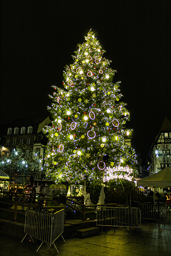 Image of the huge Christmas Tree in Kleber Square in Strasbourg