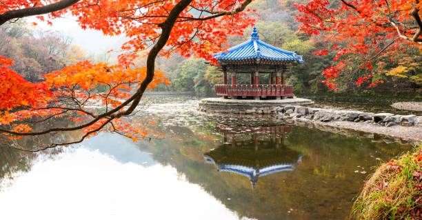 istock Naejangsa Uhwajeong Autumn Leaves 1769508668